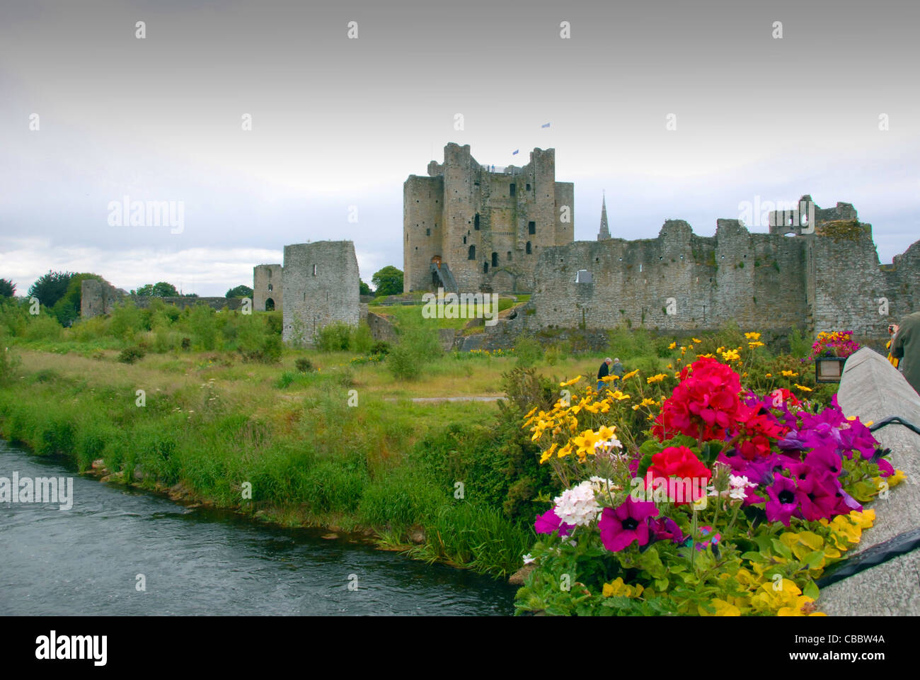 Trim Castle built in the 1170`s meath Ireland Boyne valley Stock Photo